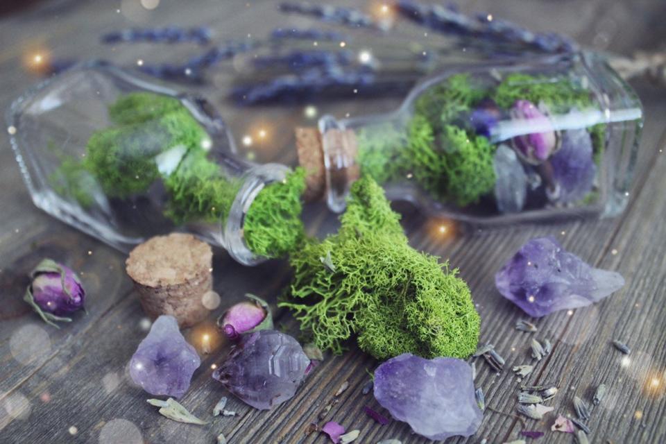 STYLECASTER | Best Places to Buy Crystals | terrarium crystal jar