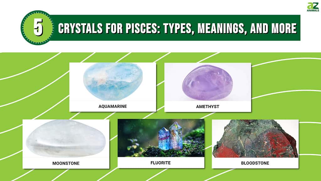 Pisces Crystals