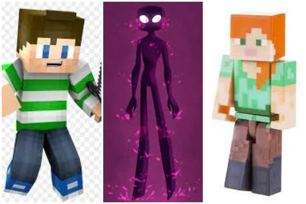 Minecraft characters