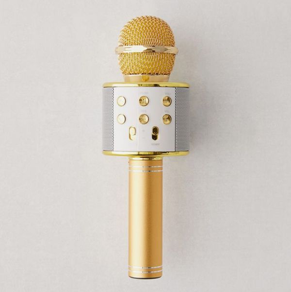 Karaoke Microphone