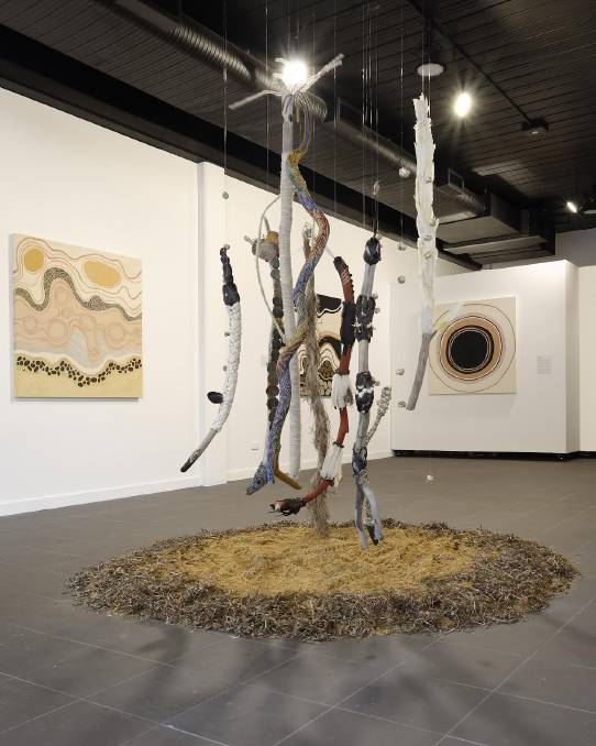 Jenn Rowe's latest installation at the Lismore Regional Gallery. Picture by Cherie Winter. 