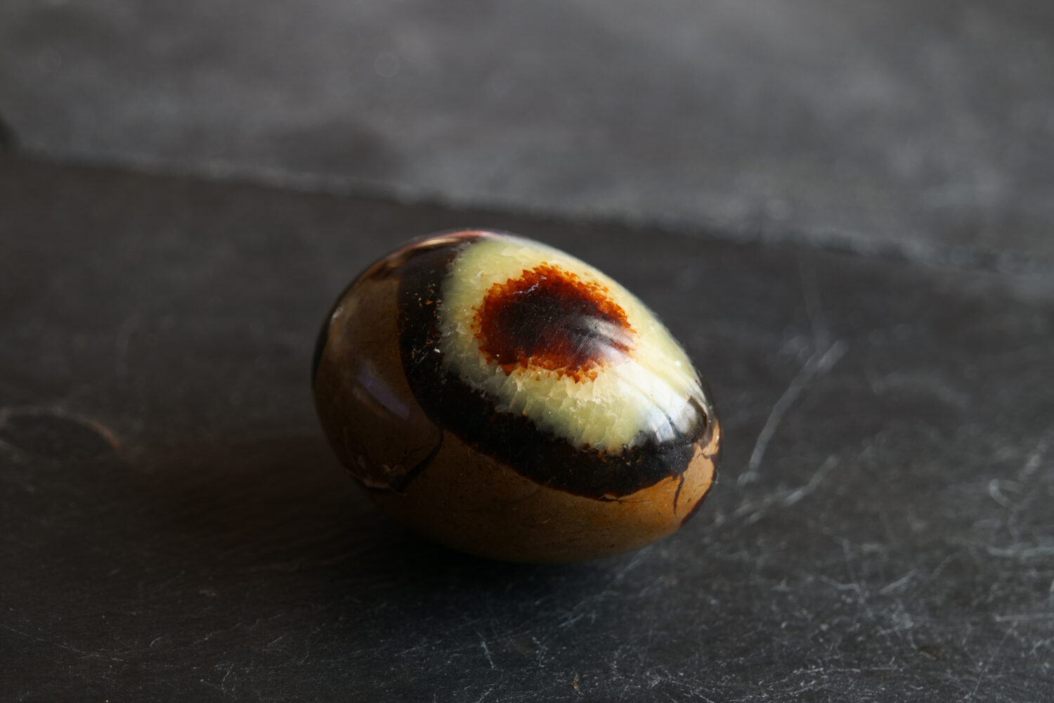 Polished septarian stone ( or dragon stone) from Madagascar, on gray slate background