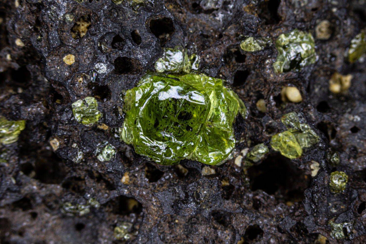 Closup of raw Peridot gemstone, attached to original volcanic host rock. Smaller specimens surrounding. From Hawaii.