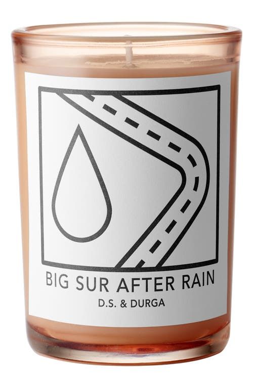 Big Sur After Rain Scented Candle 